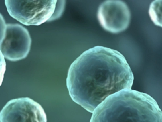 cancer biology